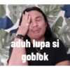 Meme 13