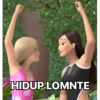 HIDUP LOMNTE