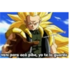 Dragon ball 25