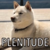 🐱🐾🐶 irl pets l 🐶🐾🐱 14