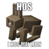 Minecraft Dialekt 13