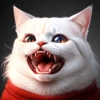 Gatos 14