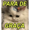 Animais fofos 333💗 6