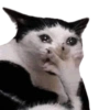Memes Reacciones  9