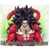 Dragon ball 29