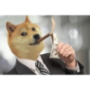 Dogecoin 7