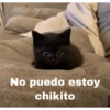 MASCOTAS @joshuacaprii 24
