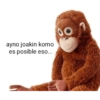 ayno joakin komo es posible eso...