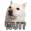🐱🐾🐶 irl pets l 🐶🐾🐱 10