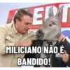 BOZOBURRO 8