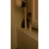 Cat 13