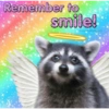 🐼🗑🦝 Raccoons l 🦝 🗑 🐼  7