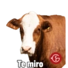 Cabaña Don Luis 8