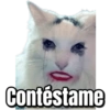 Gatos Sad 26