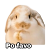 Po favo