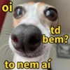 Cachorrinhos sinceros 🐶🌝 6