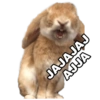 AJJA
JAJAJAJ