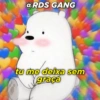 Posts apaixonados @rds_gang 10