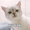 MKSD KM APAH