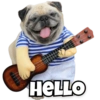 Funny Dogs 14
