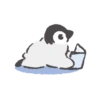 Penguin Architect no.2 16