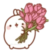 @ballolet88
