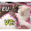 Animais fofos 333💗 9