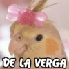 😂 MEMES DIVERTIDOS 😎 3 21