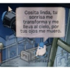 Poesía de Club Pengüin 20