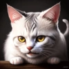 Gatos 25