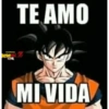 Goku 5
