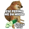 PERRO MUSCULOSO 🇦🇷 6