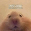 si pablito clavó un
clavito, yo puedo
clavarte un besito?