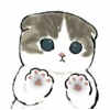 Gatitos <33 10
