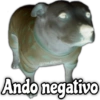 Memes de Perros 2🐶😂 13