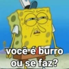 você é burro ou se faz?