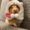 Hamster Reacciones🐁💕 13