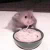 ㅡ  animalitos ♡ 12