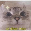 Gatos 27