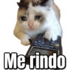 Gatos sad 2 25
