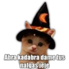 Memes varios 🤣 8