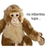no inbentes lupe...