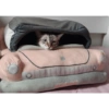 O gato chateado 8