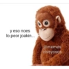 y eso noes lo peor joakin... @memes chisyosos