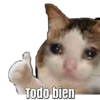 Memes Variados 🤣🥳 9