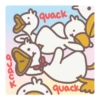 quack
1quacklu