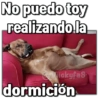 🚫Memes que no viste6🚫 20