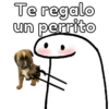 Te regalo
un perrito