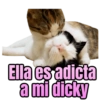 Bebecita lean  9