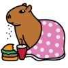 Chigüires (Capibara) 6